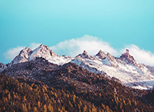 开云官网——引领奢侈品时尚新风潮